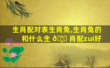 生肖配对表生肖兔,生肖兔的和什么生 🦈 肖配zui
好